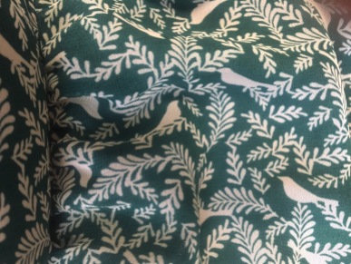 Flora & Fauna! (Green printed dress detail: Target)